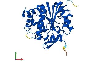 Protein Structure (PS) image for Nicotinamide N-Methyltransferase (NNMT) (AA 1-264) protein (His tag) (ABIN7549865)