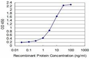Detection limit for recombinant GST tagged SYN1 is approximately 0. (SYN1 抗体  (AA 362-450))