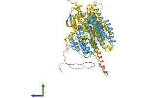 Protein Structure (PS) image for Proteasome (Prosome, Macropain) 26S Subunit, Non-ATPase, 2 (PSMD2) (AA 1-908) protein (His tag) (ABIN7555101)
