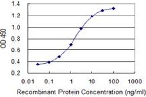 Detection limit for recombinant GST tagged SI is 0. (Sucrase Isomaltase 抗体  (AA 1728-1826))