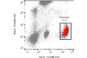 Surface staining of CD53 in human peripheral blood cells with anti-CD53 (MEM-53) PE. (CD53 抗体  (PE))