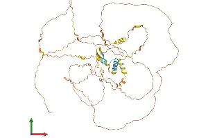 Protein Structure (PS) image for Coiled-Coil Domain Containing 8 (CCDC8) (AA 1-538) protein (His tag) (ABIN7553100)