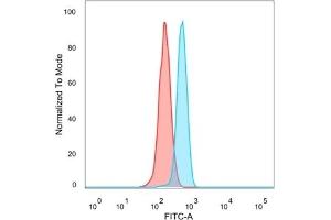 Flow cytometric analysis of PFA-fixed HeLa cells. (MEF2B 抗体)