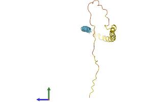 AlphaFold protein structure predicition of Human Recombinant SNCB Protein, UniprotID Q16143