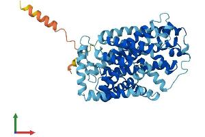 Protein Structure (PS) image for Solute Carrier Family 7 (Cationic Amino Acid Transporter, Y+ System), Member 9 (SLC7A9) (AA 1-487) protein (His tag) (ABIN7552605)