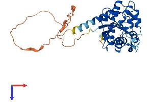 Protein Structure (PS) image for Nicotinamide Nucleotide Adenylyltransferase 2 (NMNAT2) (AA 1-307) protein (His tag) (ABIN7558783)