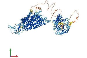 Protein Structure (PS) image for Solute Carrier Family 12 (Potassium-Chloride Transporter) Member 4 (SLC12A4) (AA 1-1085) protein (His tag) (ABIN7555396)