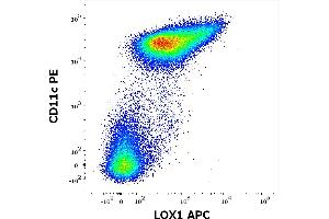 Flow cytometry multicolor surface staining pattern of human stimulated (GM-CSF + IL-4) peripheral blood mononuclear cells using anti-LOX1 (15C4) APC antibody (10 μL reagent / 100 μL of peripheral whole blood) and anti-human CD11c (BU15) PE antibody (20 μL reagent / 100 μL of peripheral whole blood). (OLR1 抗体  (APC))