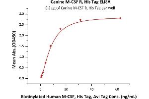 ELISA image for Colony Stimulating Factor 1 Receptor (CSF1R) (AA 20-510) (Active) protein (His tag) (ABIN6809888)