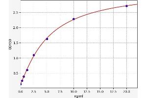 Typical standard curve (PDXK ELISA 试剂盒)