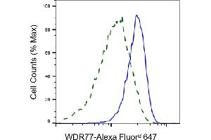 Flow cytometric analysis of WDR77 expression in HeLa cells using WDR77 antibody (ABIN7800856), 1:2,000). (WDR77 抗体)