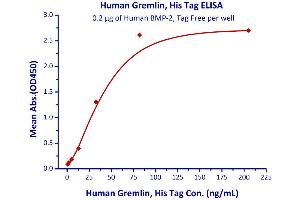 Binding Studies (Bind) image for Gremlin 1 (GREM1) (AA 25-184) (Active) protein (His tag) (ABIN4949103)