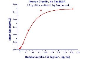 Immobilized Human BMP-2, Tag Free  with a linear range of 0. (GREM1 Protein (AA 25-184) (His tag))