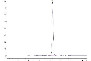 The purity of Human Transferrin is greater than 95 % as determined by SEC-HPLC. (Transferrin Protein (TF) (AA 20-698) (His tag))