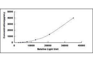Cardiotrophin-Like Cytokine Factor 1 (CLCF1) CLIA Kit