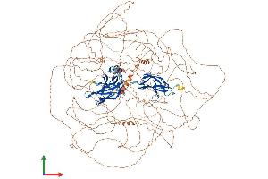 AlphaFold protein structure predicition of Mouse Recombinant Nfat5 Protein, UniprotID Q9WV30