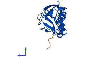 Protein Structure (PS) image for PPPDE Peptidase Domain Containing 2 (PPPDE2) (AA 1-168) protein (His tag) (ABIN7560578)