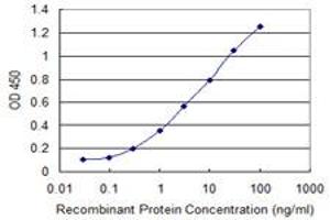 Detection limit for recombinant GST tagged PCDH10 is 0. (PCDH10 抗体  (AA 18-127))