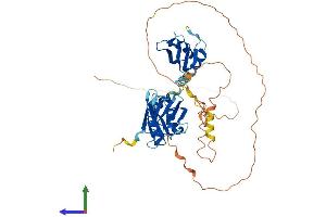 Protein Structure (PS) image for CUGBP, Elav-Like Family Member 6 (CELF6) (AA 1-481) protein (His tag) (ABIN7553308)