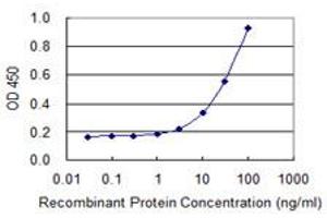 ELISA image for anti-Mitochondrial Ribosomal Protein L1 (MRPL1) (AA 1-303) antibody (ABIN528766)