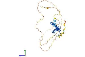 AlphaFold protein structure predicition of Mouse Recombinant Mesp1 Protein, UniprotID P97309 (MESP1 Protein (AA 1-243) (His tag))