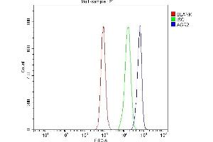 Flow Cytometry analysis of CACO-2 cells using anti-AGR2 antibody (ABIN5518726).
