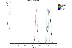 Flow Cytometry analysis of 293T cells using anti-mSin3A/SIN3A antibody (ABIN7602504). (SIN3A 抗体  (AA 8-918))
