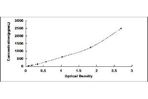 Typical standard curve (CNTF ELISA 试剂盒)