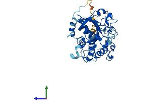 Protein Structure (PS) image for ST3 beta-Galactoside alpha-2,3-Sialyltransferase 4 (ST3GAL4) (AA 1-333) protein (His tag) (ABIN7546093)