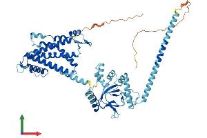 Protein Structure (PS) image for Cyclic Nucleotide Gated Channel alpha 4 (CNGA4) (AA 1-575) protein (His tag) (ABIN7553524)