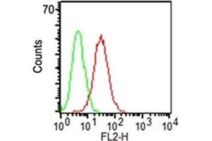 Surface flow cytometric analysis of CD34 on KG-1 cells using CD34 antibody (ICO-115, red) and isotype control antibody (green). (CD34 抗体)