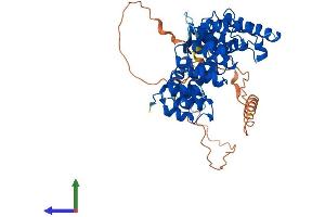 Protein Structure (PS) image for VPS33B Interacting Protein, Apical-Basolateral Polarity Regulator (VIPAR) (AA 1-491) protein (His tag) (ABIN7564341)