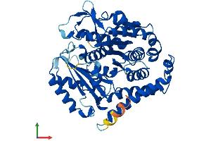 Protein Structure (PS) image for Tubulin, beta 2B (TUBB2B) (AA 1-445) protein (His tag) (ABIN7544166)