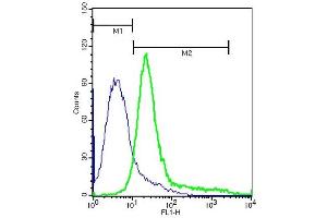 A549 cells probed with Rabbit Anti-Integrin Alpha V Polyclonal Antibody, FITC (ABIN678593-FITC) at 1:10 for 40 minutes (green) compared to control cells (blue). (CD51 抗体  (AA 901-1048))