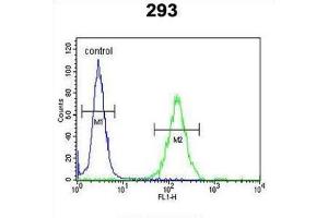 Flow Cytometry (FACS) image for anti-DAZ Interacting Protein 1 (DZIP1) antibody (ABIN3003968) (DZIP1 抗体)