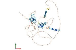 Protein Structure (PS) image for Ring Finger Protein 180 (RNF180) (AA 1-592) protein (His tag) (ABIN7551448)
