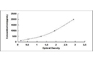 Typical standard curve (Olfactomedin 4 ELISA 试剂盒)