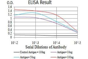Black line: Control Antigen (100 ng),Purple line: Antigen (10 ng), Blue line: Antigen (50 ng), Red line:Antigen (100 ng) (Keratin 10 抗体  (AA 345-454))