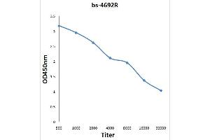 Antigen: 0. (GSK3 alpha 抗体  (pSer21))