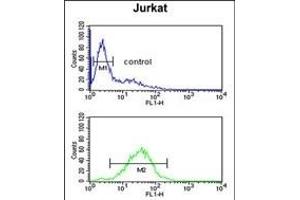 Flow Cytometry (FACS) image for anti-Solute Carrier Family 25, Member 28 (SLC25A28) (AA 36-64), (N-Term) antibody (ABIN651437)