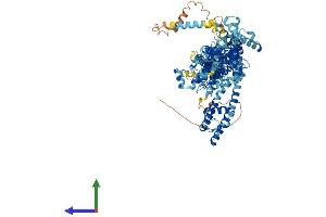 Protein Structure (PS) image for Transient Receptor Potential Cation Channel, Subfamily C, Member 7 (TRPC7) (AA 1-862) protein (His tag) (ABIN7555843)