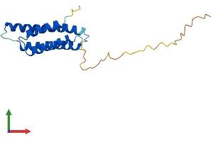 Protein Structure (PS) image for Angiotensin II Receptor-Associated Protein (AGTRAP) (AA 1-159) protein (His tag) (ABIN7552588)