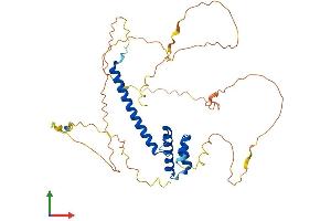 AlphaFold protein structure predicition of Human Recombinant NEUROD2 Protein, UniprotID Q15784