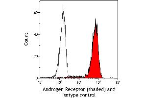 Flow Cytometry (FACS) image for anti-Androgen Receptor (AR) (AA 1-50) antibody (ABIN7795785)