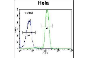 Flow cytometric analysis of Hela cells (right histogram) compared to a negative control cell (left histogram). (SP5 抗体  (C-Term))