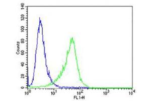 Flow cytometric analysis of A549 cells using C Antibody (Center) (green, Cat(ABIN654467 and ABIN2844201)) compared to an isotype control of rabbit IgG(blue). (CF150 (AA 266-295) 抗体)