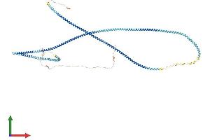Protein Structure (PS) image for Outer Dense Fiber of Sperm Tails 2 (ODF2) (AA 1-829) protein (His tag) (ABIN7554807)
