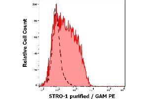 Separation of CD45dim cells stained using anti-human STRO-1 (STRO-1) purified antibody (concentration in sample 4 μg/mL, GAM PE, red-filled) from CD45dim cells unstained by primary antibody (GAM PE, black-dashed) in flow cytometry analysis (surface staining) of human bone marrow cells.