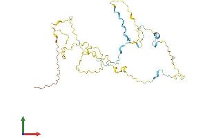 Protein Structure (PS) image for Sperm-Tail PG-Rich Repeat Containing 1 (STPG1) (AA 1-341) protein (His tag) (ABIN7560911)