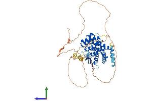 AlphaFold protein structure predicition of Human Recombinant HYCC1 Protein, UniprotID Q9BYI3